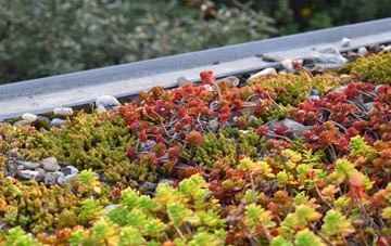 the cost of Lucas End green roof installation