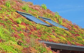 Lucas End living roof systems
